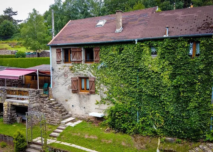 Le Petit Biscuit * Dabo