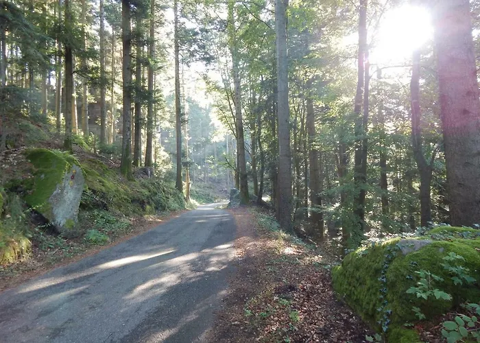 Vakantiehuis Le Petit Biscuit *